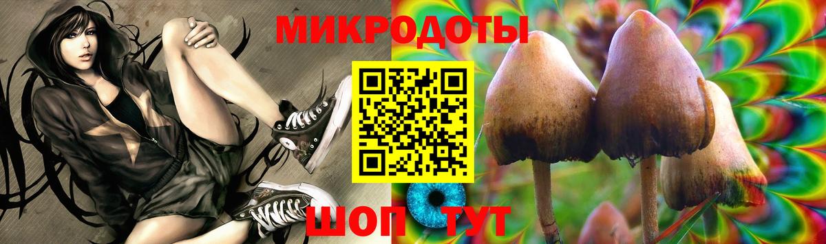 Галлюциногенные грибы GOLDEN TEACHER  Вход с VPN  Белогорск 